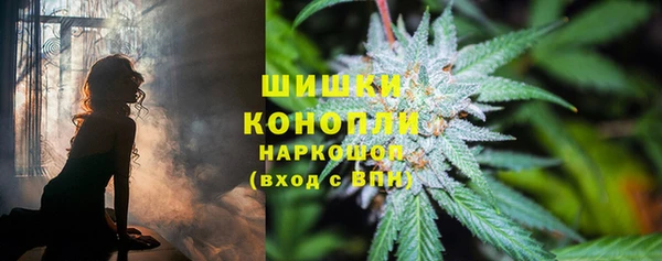 шишки Зерноград