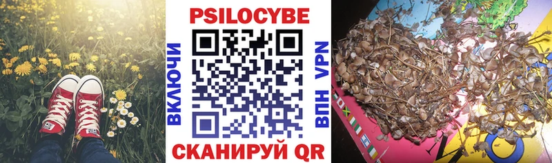 Купить где  Кизел  Галлюциногенные грибы мицелий 